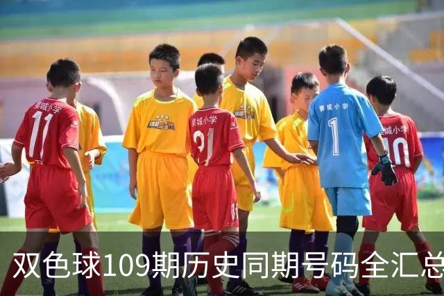 双色球109期历史同期号码全汇总