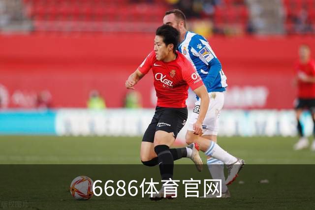 6686体育官网公司介绍图